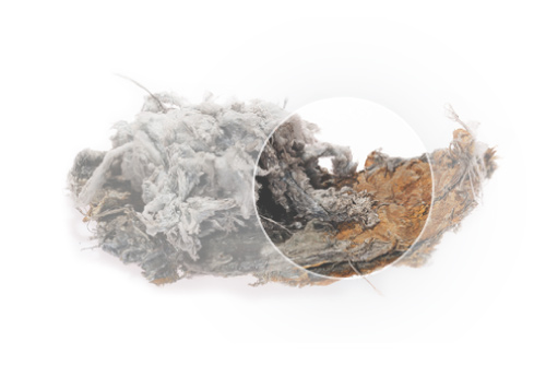 Asbestos-Removal-and-Cleanup-Graphic Asbestos-Removal-and-Cleanup-Graphic