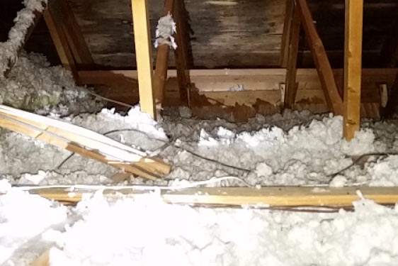 Mold-Removal-in-the-Attic