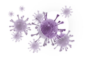 Mold-spore-removal-and-remediation-graphic