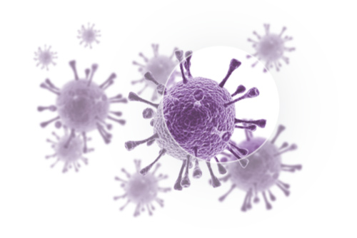 Mold-spore-removal-and-remediation-graphic Mold-spore-removal-and-remediation-graphic
