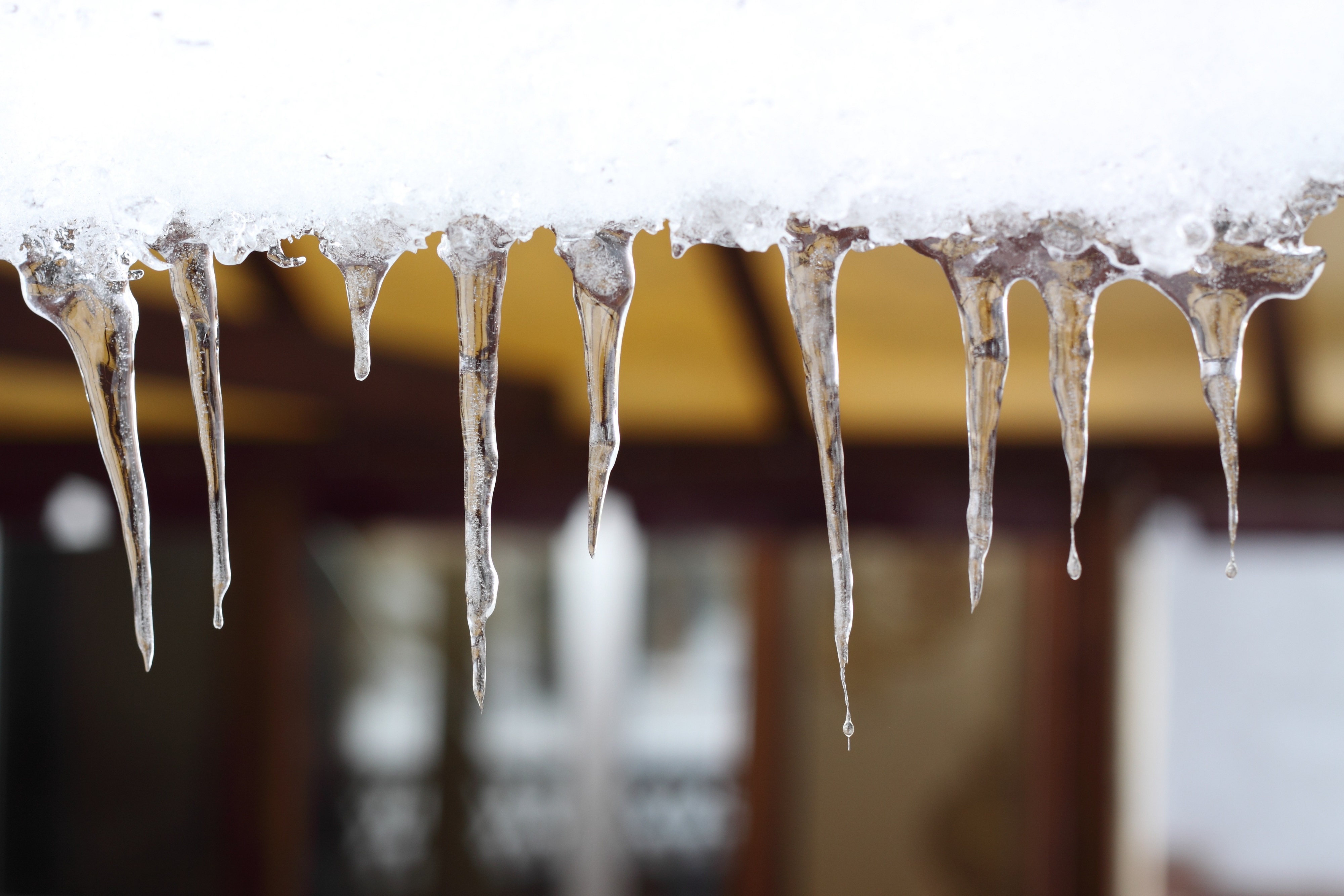 winter icicles