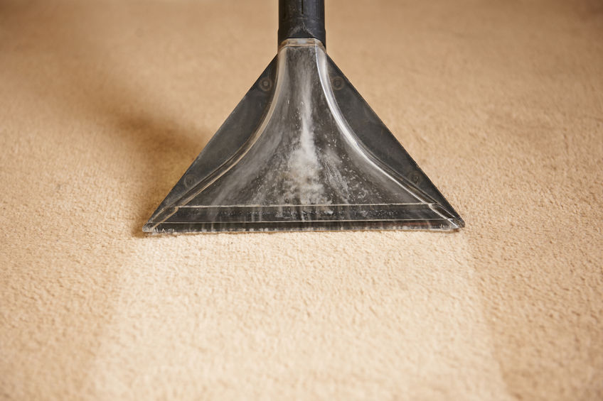 cleaning carpets