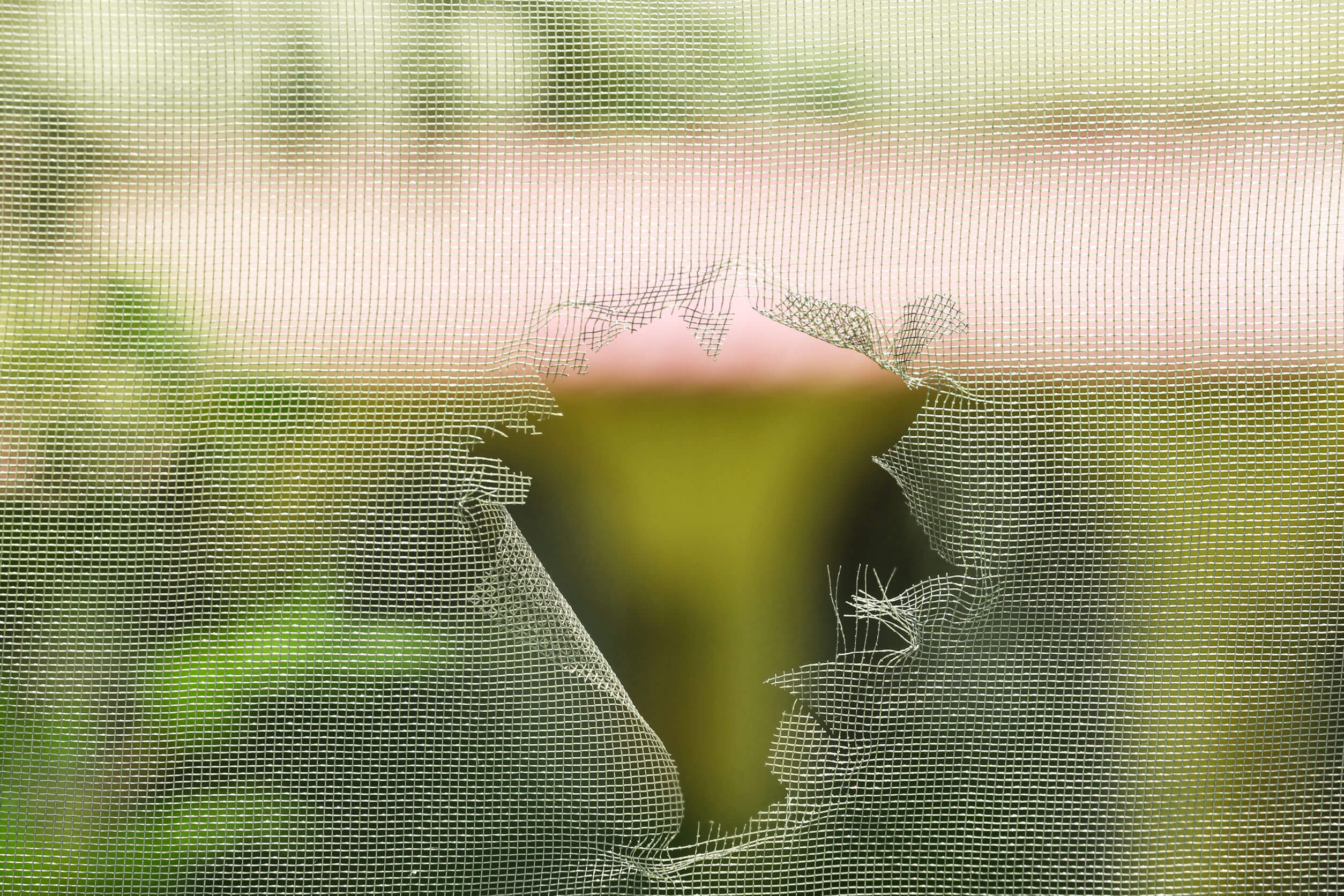ripped screen on a window ripped screen on a window
