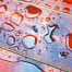 closeup of drops of water on brown wooden floor